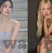 人妻 av-探索人妻角色的多维度视角，在AV文化中的独特存在
