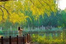 糖心vlog官网首页蜘蛛-糖心世界，Vlog爱好者的心灵栖息地